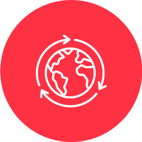 Globe icon