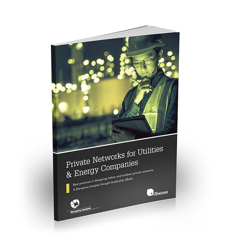 E-book : Réseaux privés pour les services publics et les entreprises énergétiques
