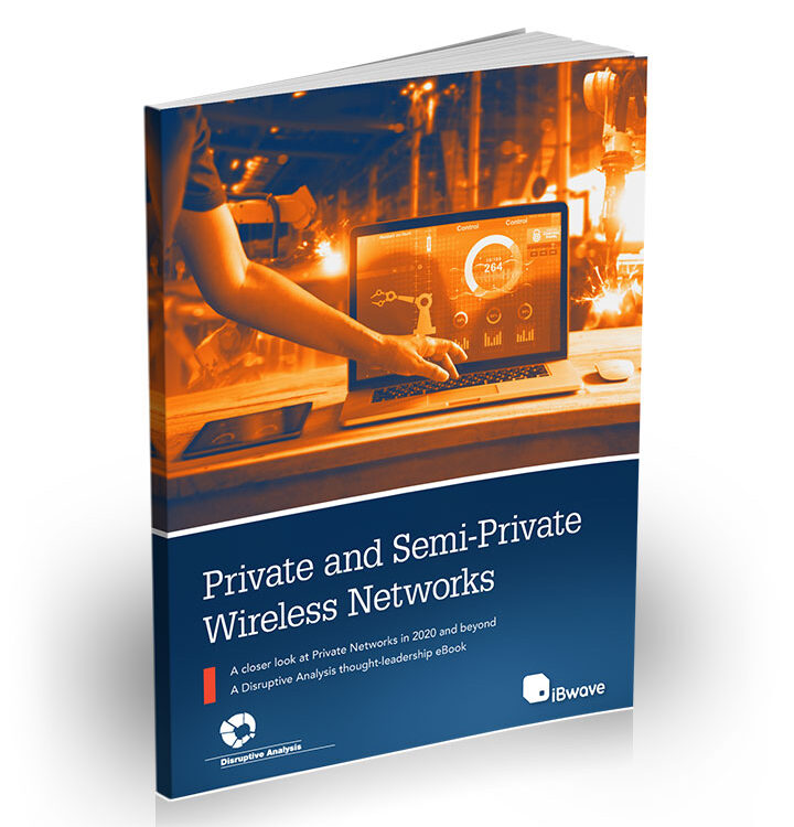 eBook cover: Private and Semi-Private Wireless Networks